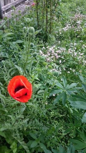 Hostal N&n Guest House