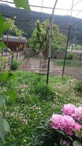 Hostal N&n Guest House