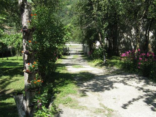 Hotel Ushba