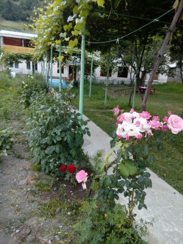 Hostal Guesthouse Aisi