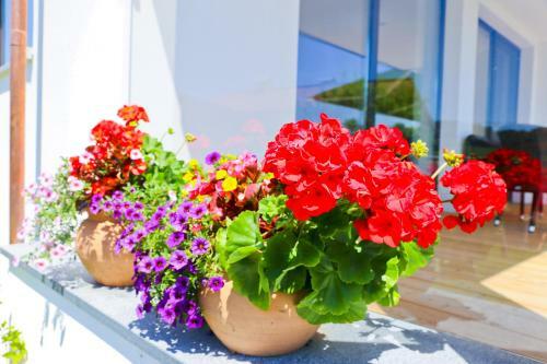 Hostal Pension Reiter-moravec