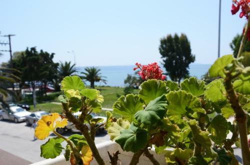 Hostal Cavo D' Oro