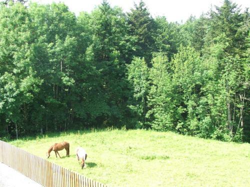 Hostal Pension J�gerheim