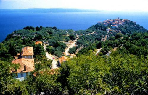 Hostal Pansion Tramontana