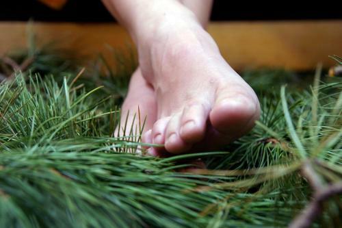 Hostal Almwellness Tonnerh�tte