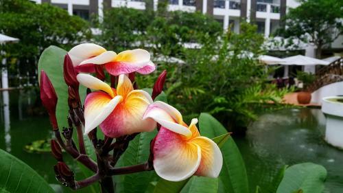 Lanka Princess Hotel