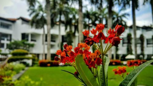 Lanka Princess Hotel