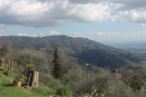 Hostal Camere Sulle Soglie Del Bosco