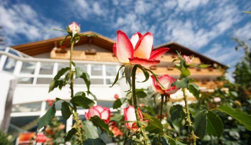 Family Hotel Gutenberg