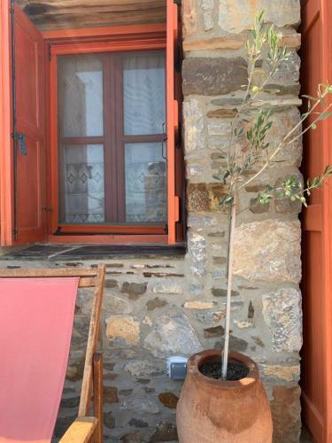 Apartamento Lithos Homes