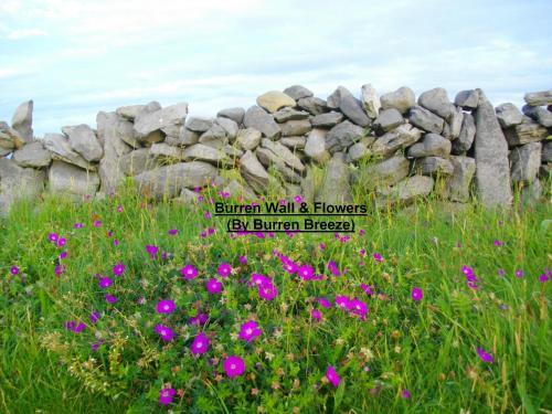 Burren Breeze Bed And Breakfast