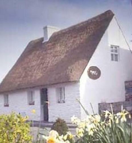 Michaeleen's Manor B&B