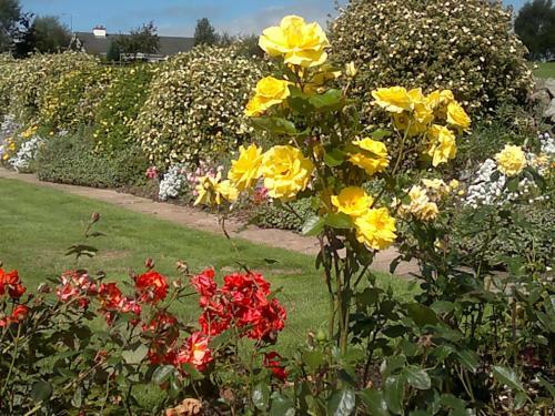 Bed & Breakfast Villa Pio Accommodation