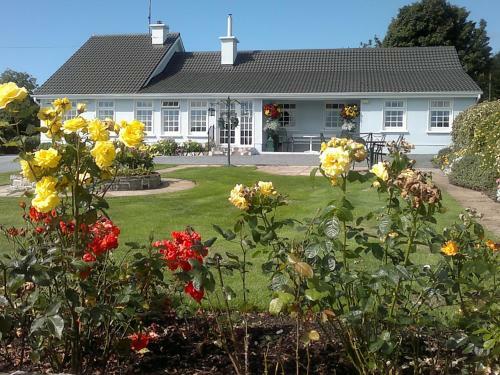 Bed & Breakfast Villa Pio Accommodation