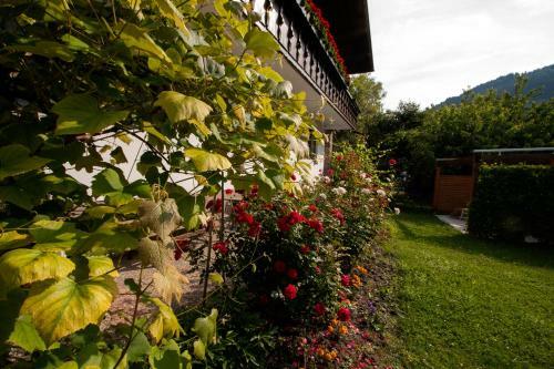 Apartmenthaus Juen