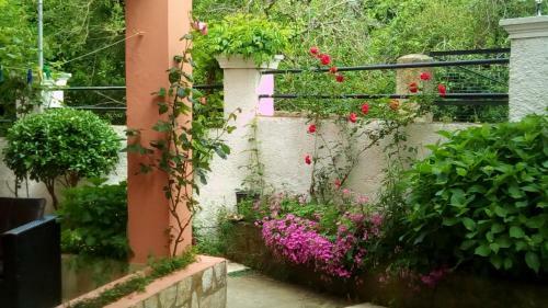 Apartamento Paradise Studios