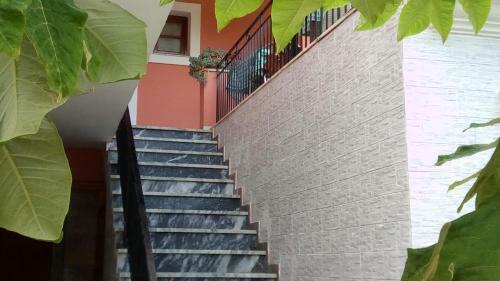 Apartamento Paradise Studios