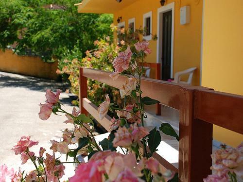 Maria Apartments - Studios