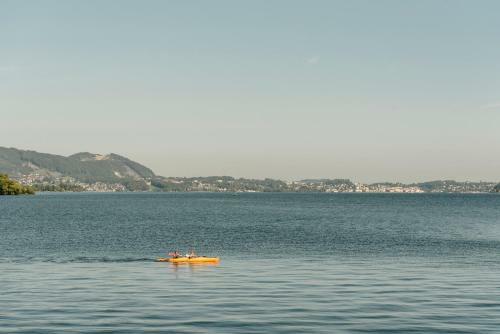 Seehotel Das Traunsee