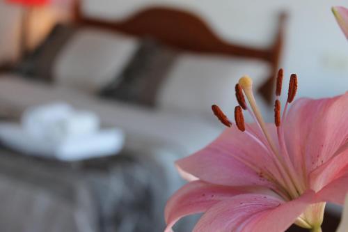 Hostal El Faro