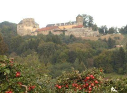 Apartamento Ferienhaus Franz Kleindienst