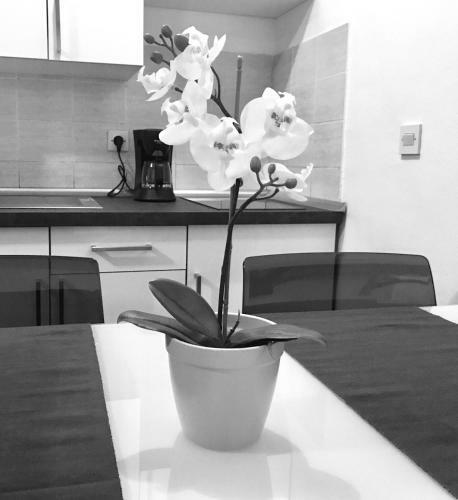 Apartamento Mar Paraiso