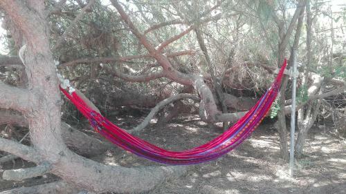 Finca Las Dunas