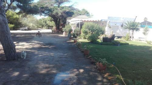 Finca Las Dunas