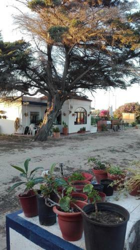 Finca Las Dunas