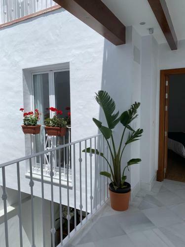 Apartamento 7escalones