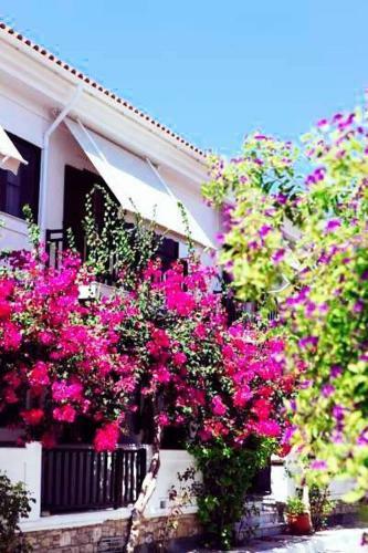 Hotel Angeliki