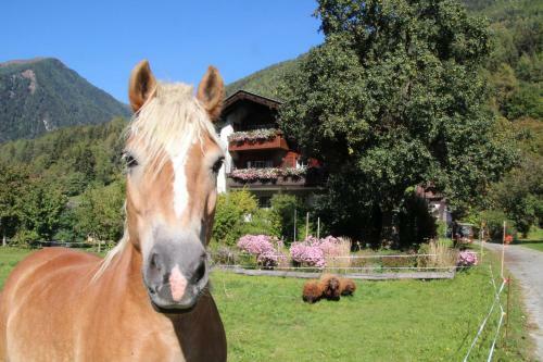 Agroturismo Bio-bauernhof Auernig