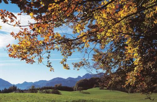Hostal Haus Gruber