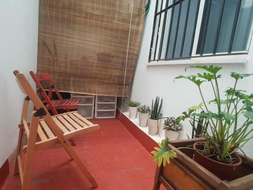 Apartamento En El Centro