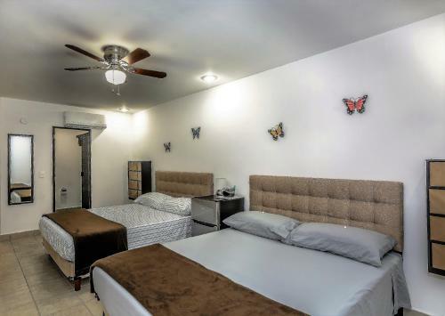 Safest Hotel In All Of Cabo
