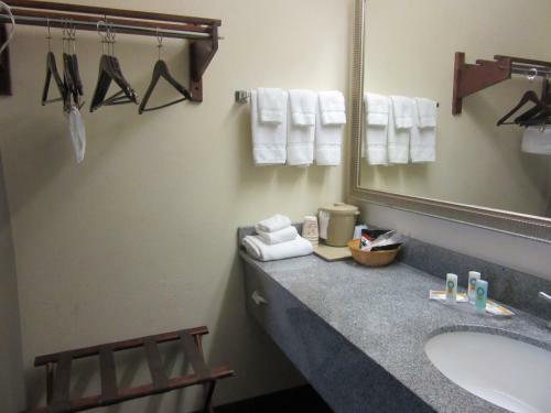 Hotel Quality Inn Fort Jackson