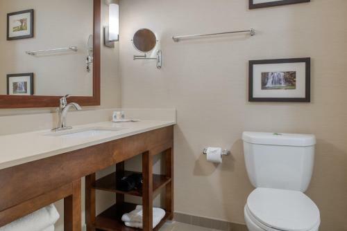 Hotel Comfort Suites Columbus Airport