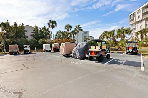Dolphin Point #406a