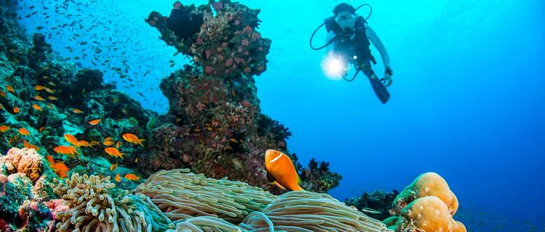 Hotel Dusit Thani Maldives