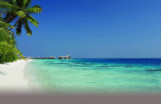 Hotel Coco Bodu Hithi