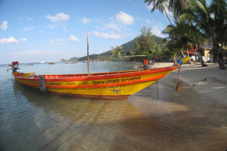 Hotel Seashell Resort