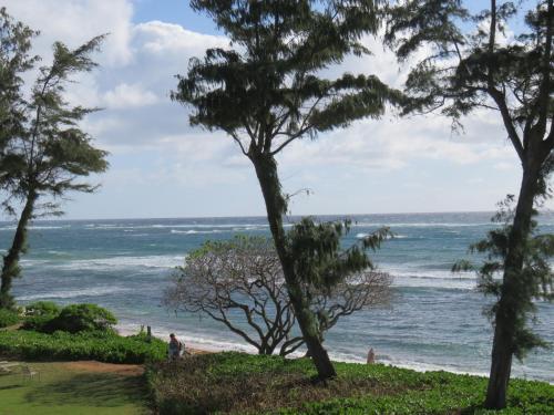 Apartamento Islander On The Beach #351