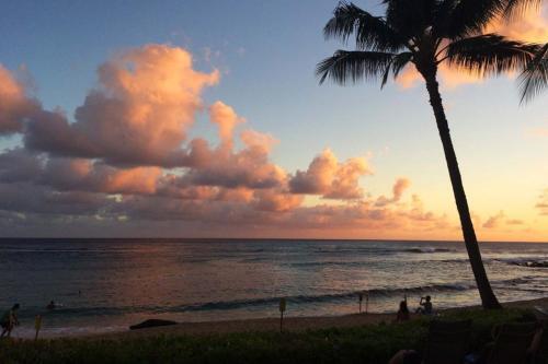 Manualoha 201