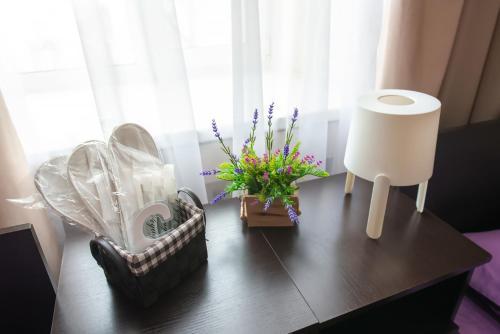 Albergue Optimum