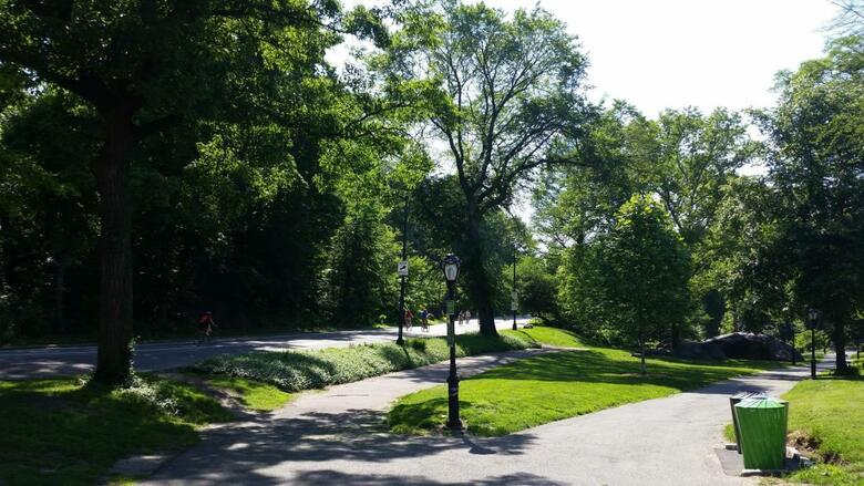 Hostal The Central Park North