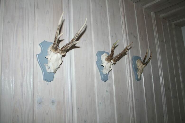 Hostal Landhaus Foresta
