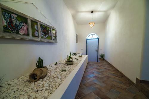 Bed & Breakfast Assabinidica