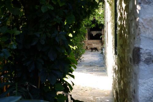 Bed & Breakfast Ha La Bodrum