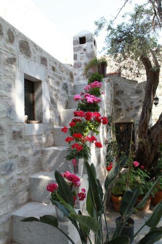 Bed & Breakfast Ha La Bodrum