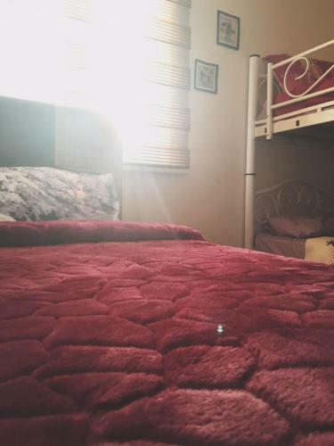 Ahmed Apartment